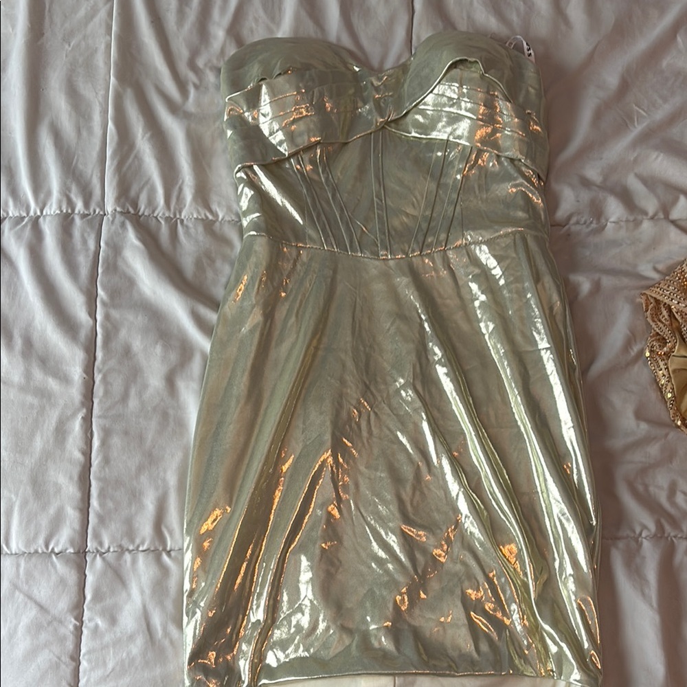 Elegant Strapless Metallic Dress